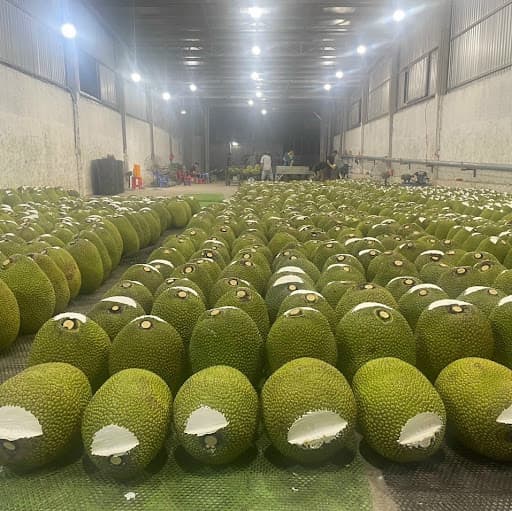 HƯỚNG DẪN XUẤT KHẨU MÍT TIỂU NGẠCH SANG TRUNG QUỐC – KINH NGHIỆM THỰC TẾ & GIẢI PHÁP HIỆU QUẢ