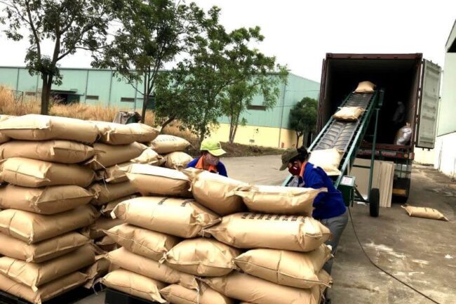 Hướng Dẫn Chi Tiết Thủ Tục Xuất Khẩu Cà Phê