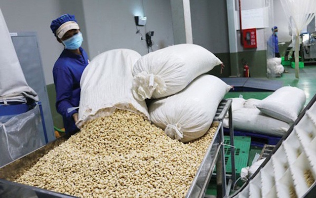 HƯỚNG DẪN CHI TIẾT THỦ TỤC XUẤT KHẨU HẠT ĐIỀU