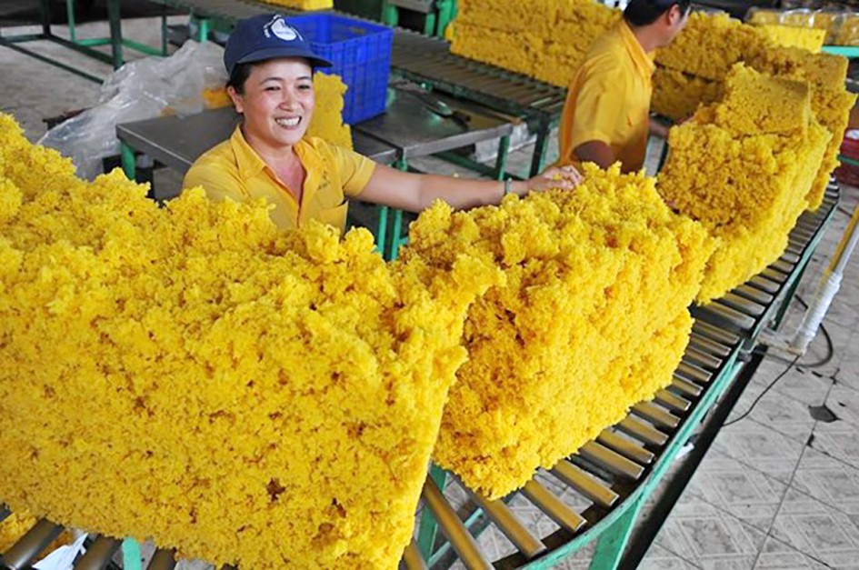 HƯỚNG DẪN CHI TIẾT THỦ TỤC XUẤT KHẨU CAO SU – CẬP NHẬT MỚI NHẤT