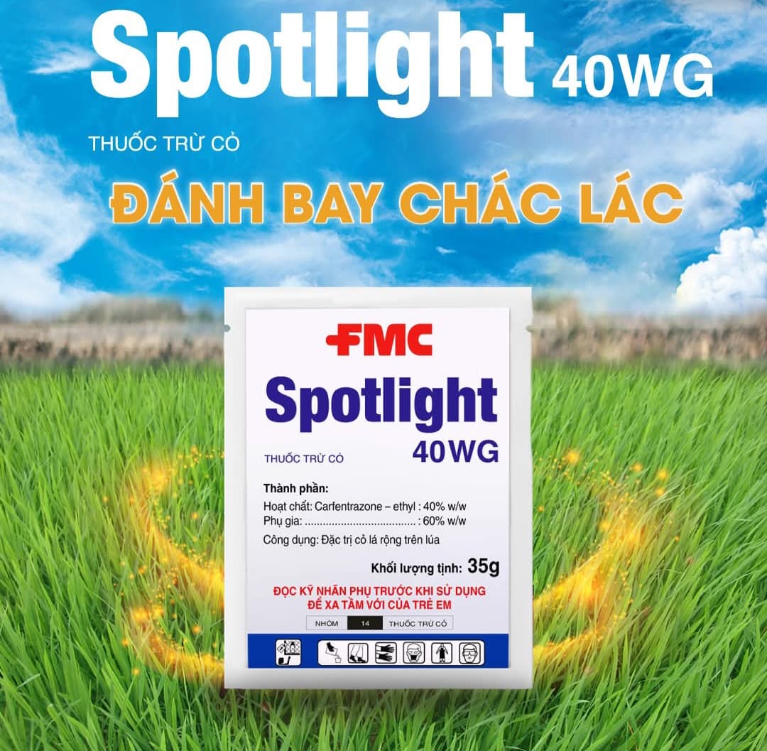 Nhiều Loại Cỏ Lúa, Vì Sao FMC Tập Trung Vào Cỏ Chác Lác? Vì Lý Do Giá Hay FMC Đã Hết Sản Phẩm Để Bán Rồi Nên Mới Ra Mắt Spotlight 4WG?