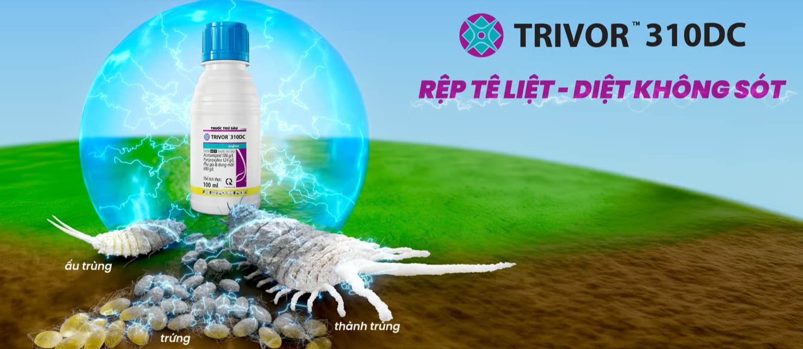 Trivor 310DC Của Syngenta - Đánh Giá Sâu Công Thức Acetamiprid 186 g/L + Pyriproxyfen 124 g/L Cho Rệp Sáp Và Côn Trùng Chích Hút Với Khẩu Hiệu "Rệp Tê Liệt - Diệt Không Sót"