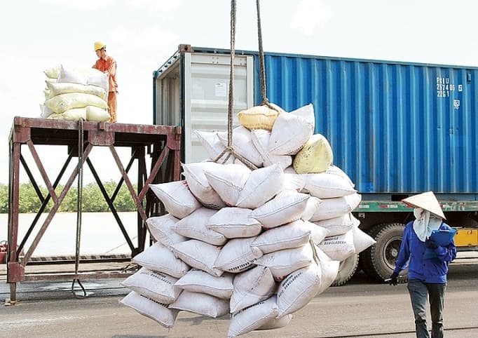 Hướng dẫn chi tiết xuất khẩu gạo cho doanh nghiệp